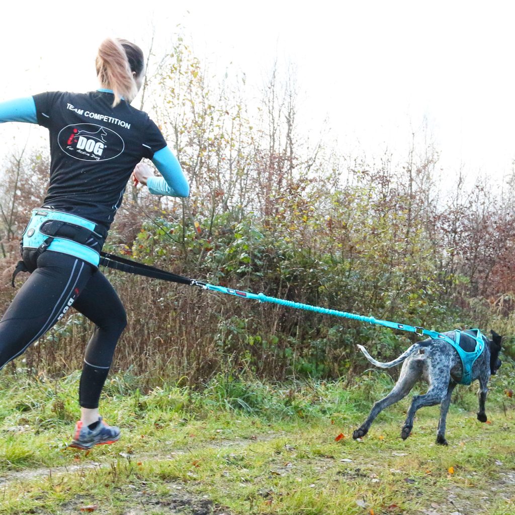 Longe OPALE LONG STRONG DOG gamme ALM Bleu 240 cm Max