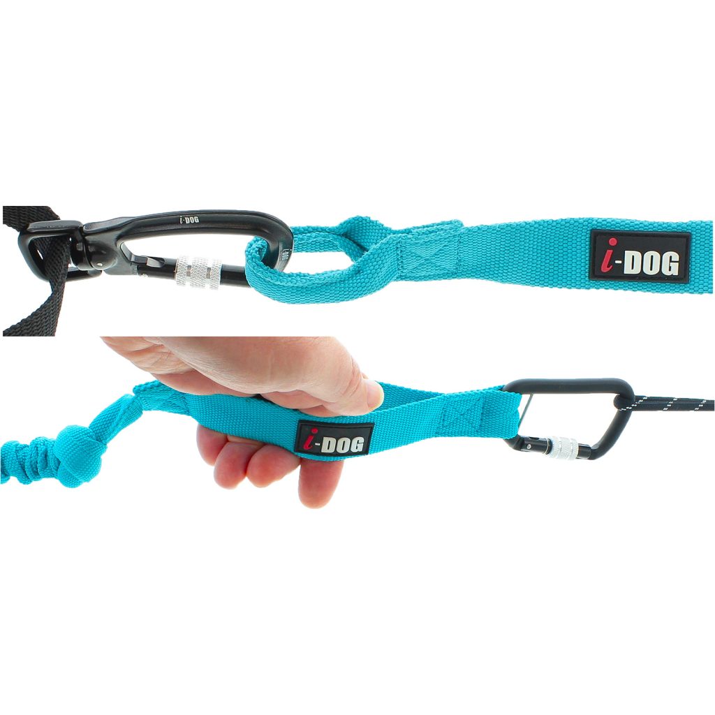 Longe OPALE SMALL DOG gamme ALM Bleu 190 cm Max