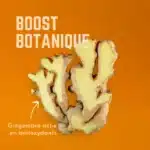 VELOFORTE – Gommes CITRO Agrumes