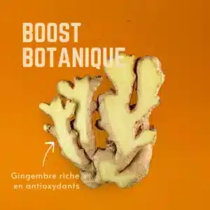 VELOFORTE – Gommes CITRO Agrumes
