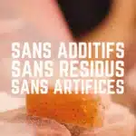 VELOFORTE – Gommes MELA Pomme